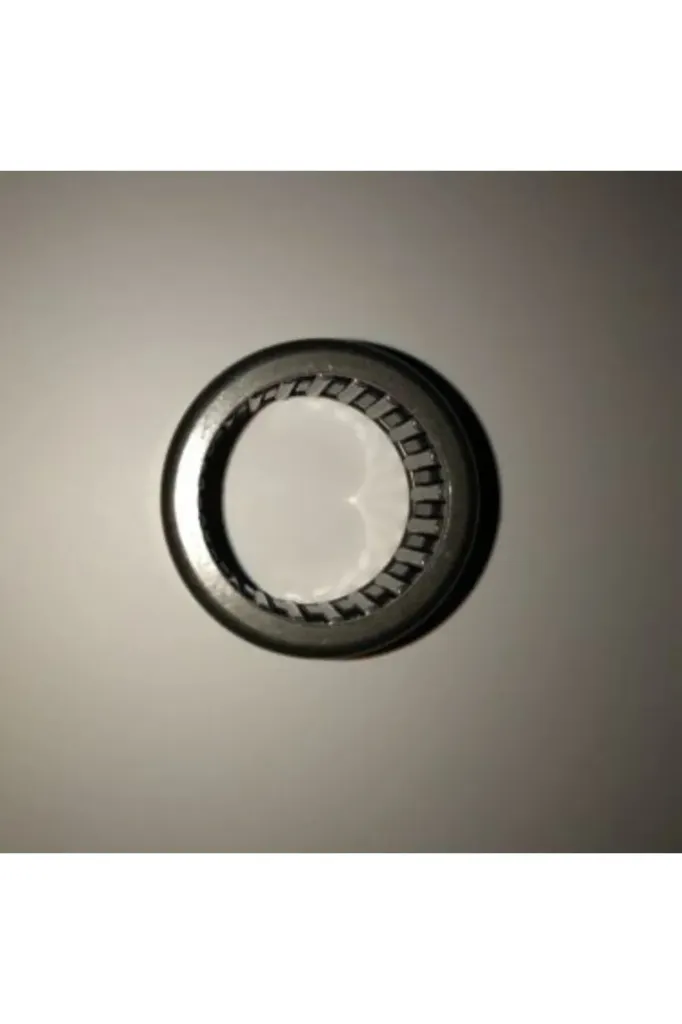 20311125 RULMAN,İĞNELİ