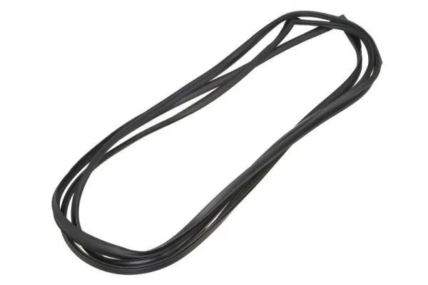 2D1845121 CAM LASTİĞİ